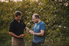 Sandford Orchards