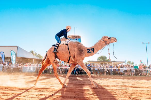 Boulia Camel Races