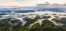 Mindo Cloud Forest