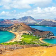 The Galapagos