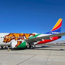 Southwest Airlines lands at Palm Springs International Airport