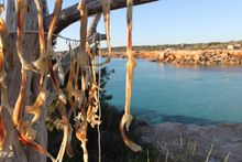 Peix sec (dried fish), Formentera