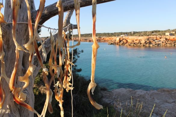 Peix sec (dried fish), Formentera