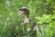 Jurassic Journey at Birdland Park & Gardens. Gloucestershire