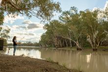 Explore incredible outback locations, like the Cooper Creek at Innamincka.