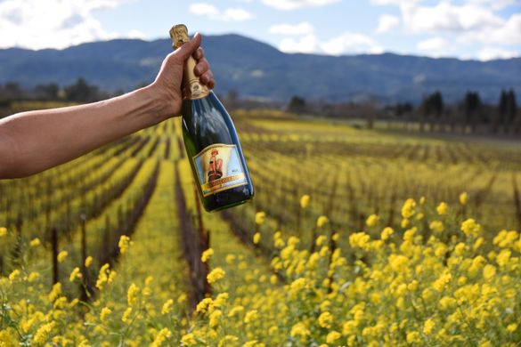 Breathless Wines