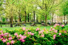 Rittenhouse Square. Photo by Kyle Huff for PHLCVB.