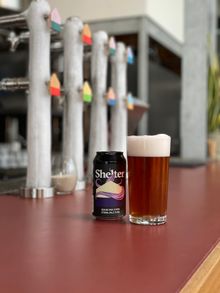 Pint Shelter Squid Ink XXPA
