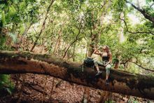 UNESCO nature reserve