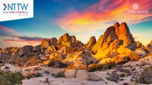 NTTW 2021 in Joshua Tree National Park
