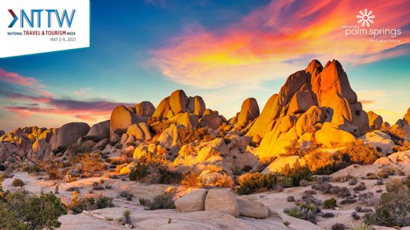 NTTW 2021 in Joshua Tree National Park