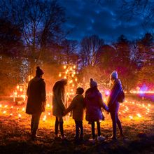 My Christmas Trails - Fire Garden