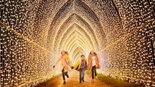 My Christmas Trails - Tunnel of Lights