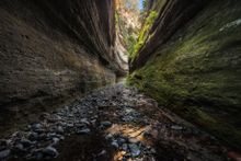 Carnarvon Gorge