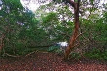 Fins & Feet Nature Tours 