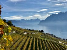 Vineyards of Lavaux, Switzerland