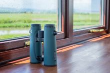 Inside the Bewick's lodge at WWT Slimbridge. Accommodation, SWAROVSKI OPTIK binoculars.