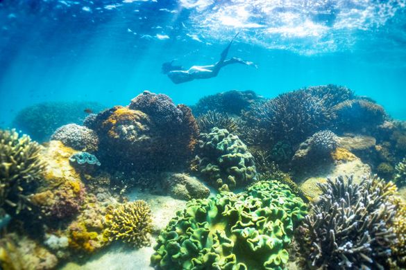 Southern Great Barrier Reef