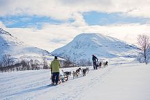 Dog Sledding Coastal Norway