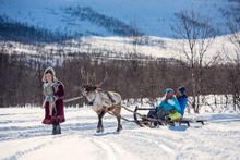 Reindeer Sledding