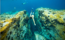 Fort Young Hotel & Dive Resort diving adventures