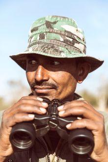 Safari guide