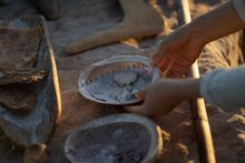 Aboriginal Cultural Tours, Barangaroo Reserve