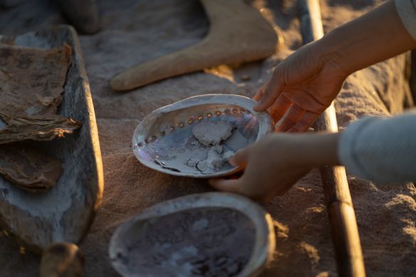 Aboriginal Cultural Tours, Barangaroo Reserve Aboriginal Cultural Tours, Barangaroo Reserve