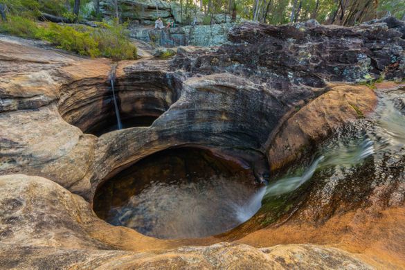 Blackdown Tablelands