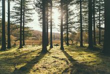Holme Fell