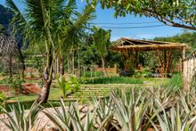 The Organic Farm