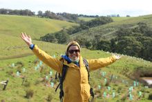 Triumph after planting trees for koalas