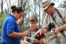 Guests involved in koala research