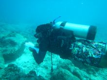 Hilton Seychelles Labriz Resort & Spa - Fish Monitoring