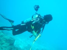 Hilton Seychelles Labriz Resort & Spa - Fish Monitoring 1
