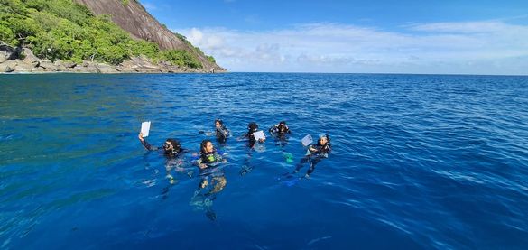 Hilton Seychelles Labriz Resort & Spa - Fish Monitoring