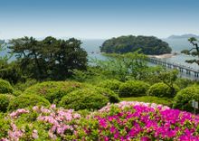 Takeshima Island