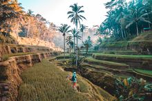 Experience Bali like you never have before with our 3 day 'Into The Wild' Curated Journey, now with a free room.
