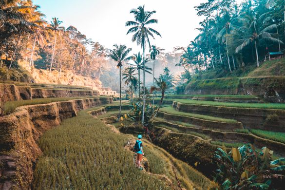 Experience Bali like you never have before with our 3 day 'Into The Wild' Curated Journey, now with a free room. Experience Bali like you never have before with our 3 day 'Into The Wild' Curated Journey, now with a free room.