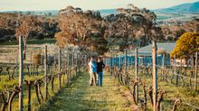 Bathurst Wine Explorer day tour