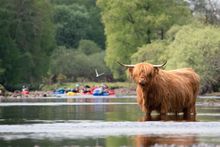 The River Tay Source to Sea Expedition