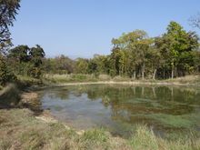 Chitwan National Park in Nepal