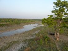 Chitwan National Park in Nepal