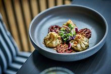 Roundhouse - Mushroom and wattleseed vegan dumplings