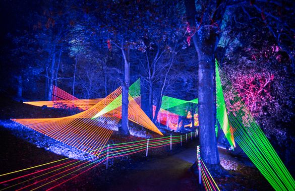 Neon Strings by Culture Creative at Stourhead Christmas Lights trail