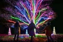 Neon tree by Culture Creative.