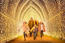 Tunnel of Light by Mandylights from 2020 