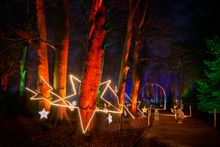 Tree Stars by Culture Creative.