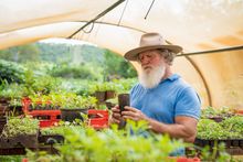 High Valley Dawn Permaculture Farm