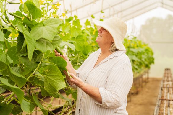 Cap Coast Vegies Cap Coast Vegies